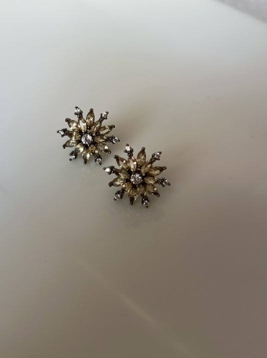 Amber Studs